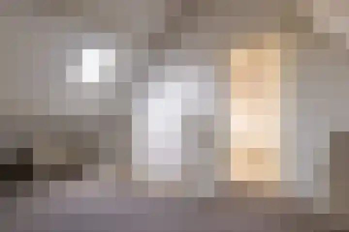 Landsheerlaan 24 Zwolle thumbnail 33