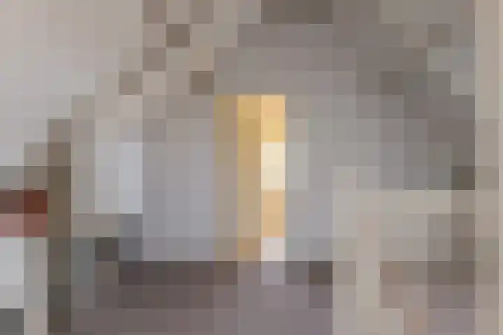 Landsheerlaan 24 Zwolle thumbnail 34