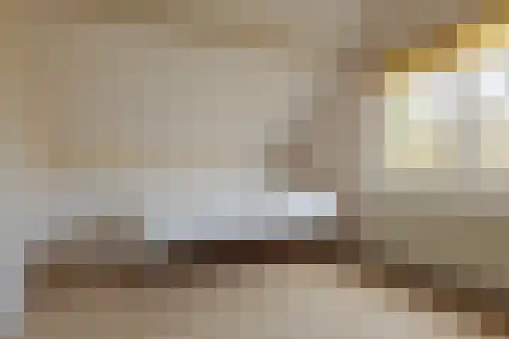 Landsheerlaan 24 Zwolle thumbnail 35