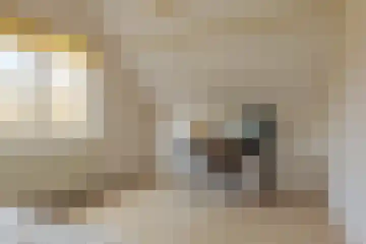 Landsheerlaan 24 Zwolle thumbnail 36