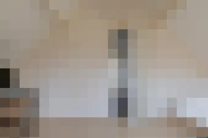 Landsheerlaan 24 Zwolle thumbnail 37