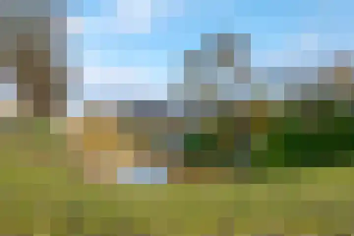 Landsheerlaan 24 Zwolle thumbnail 4