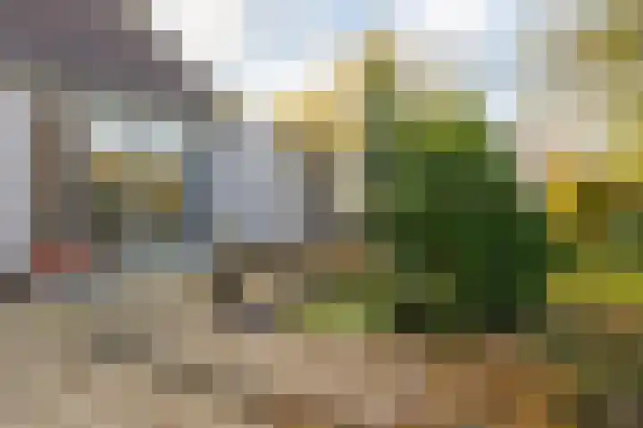 Landsheerlaan 24 Zwolle thumbnail 42