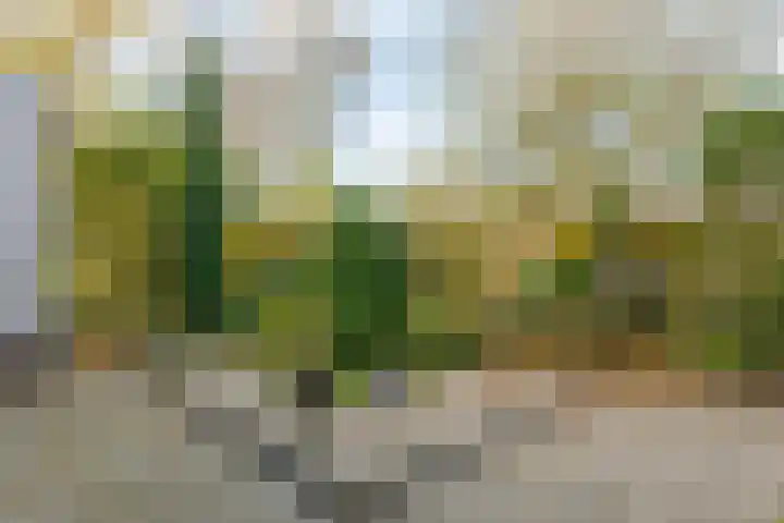Landsheerlaan 24 Zwolle thumbnail 44
