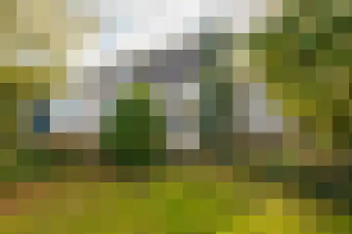 Landsheerlaan 24 Zwolle thumbnail 45
