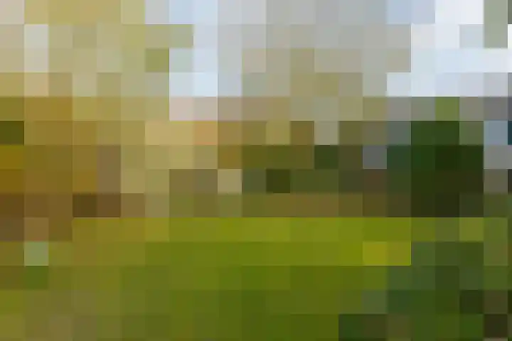 Landsheerlaan 24 Zwolle thumbnail 46