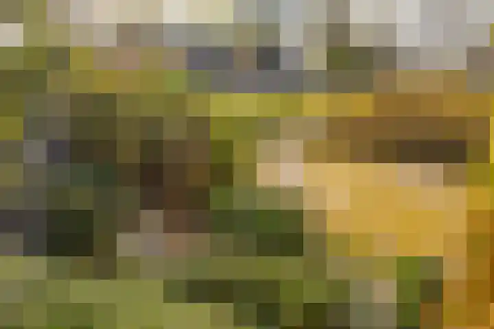 Landsheerlaan 24 Zwolle thumbnail 47