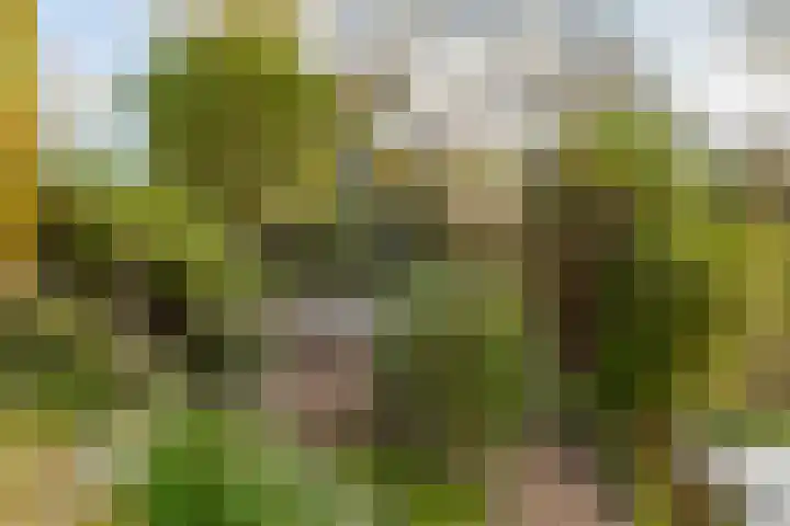 Landsheerlaan 24 Zwolle thumbnail 48