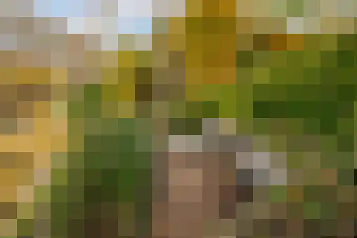 Landsheerlaan 24 Zwolle thumbnail 49