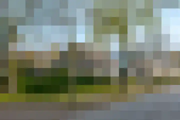 Landsheerlaan 24 Zwolle thumbnail 51