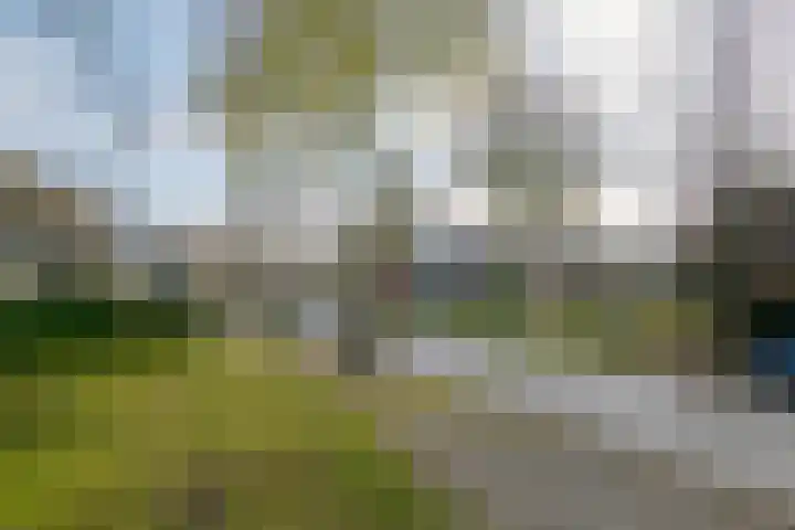 Landsheerlaan 24 Zwolle thumbnail 52
