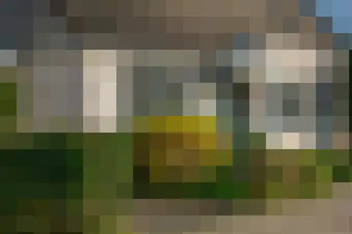 Landsheerlaan 24 Zwolle thumbnail 6