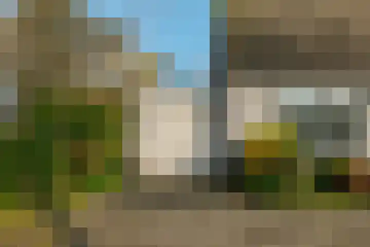 Landsheerlaan 24 Zwolle thumbnail 7