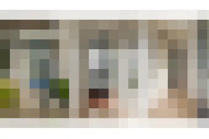 Landsheerlaan 24 Zwolle thumbnail 8