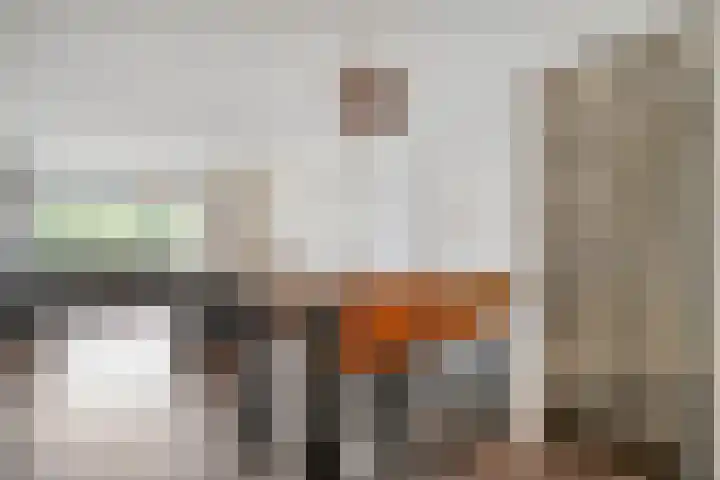 Landsheerlaan 35 Zwolle thumbnail 12