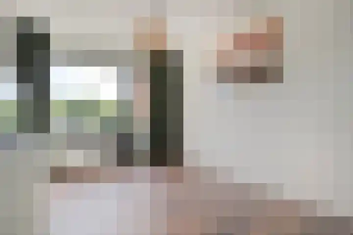 Landsheerlaan 35 Zwolle thumbnail 15