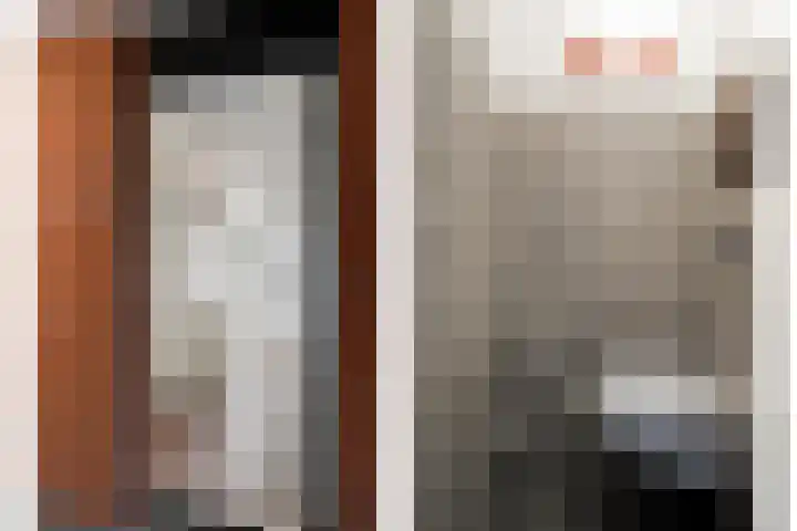 Landsheerlaan 35 Zwolle thumbnail 20