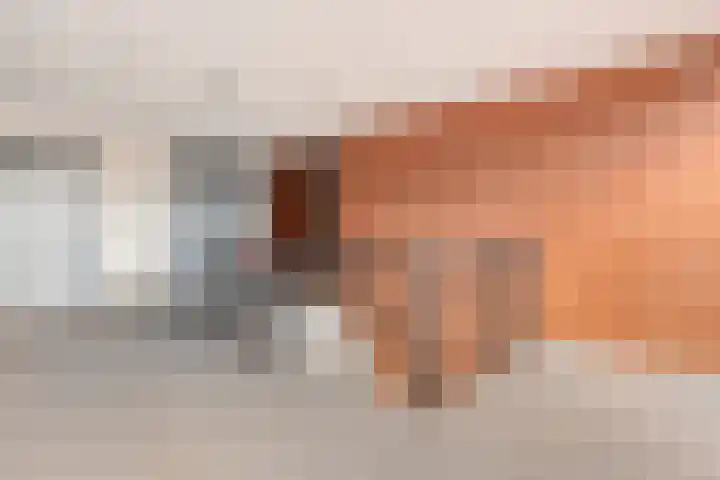 Landsheerlaan 35 Zwolle thumbnail 27