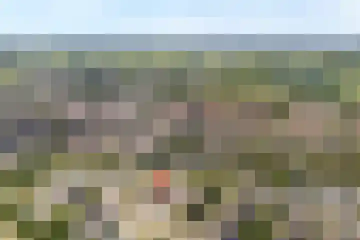 Landsheerlaan 35 Zwolle thumbnail 31