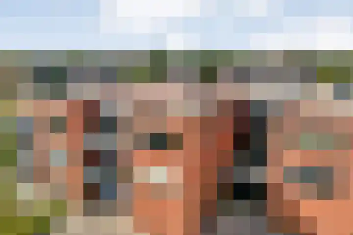 Landsheerlaan 35 Zwolle thumbnail 34