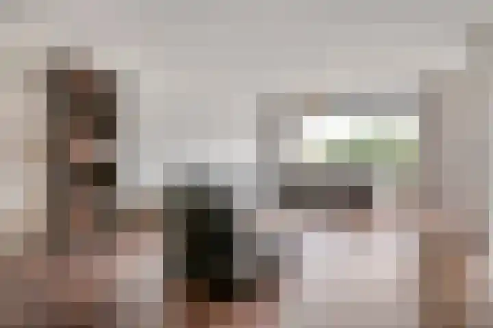 Landsheerlaan 35 Zwolle thumbnail 4
