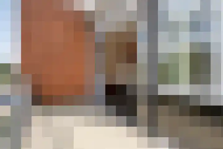 Landsheerlaan 35 Zwolle thumbnail 7