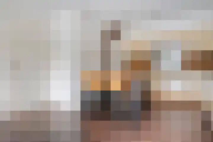 Landsheerlaan 35 Zwolle thumbnail 9