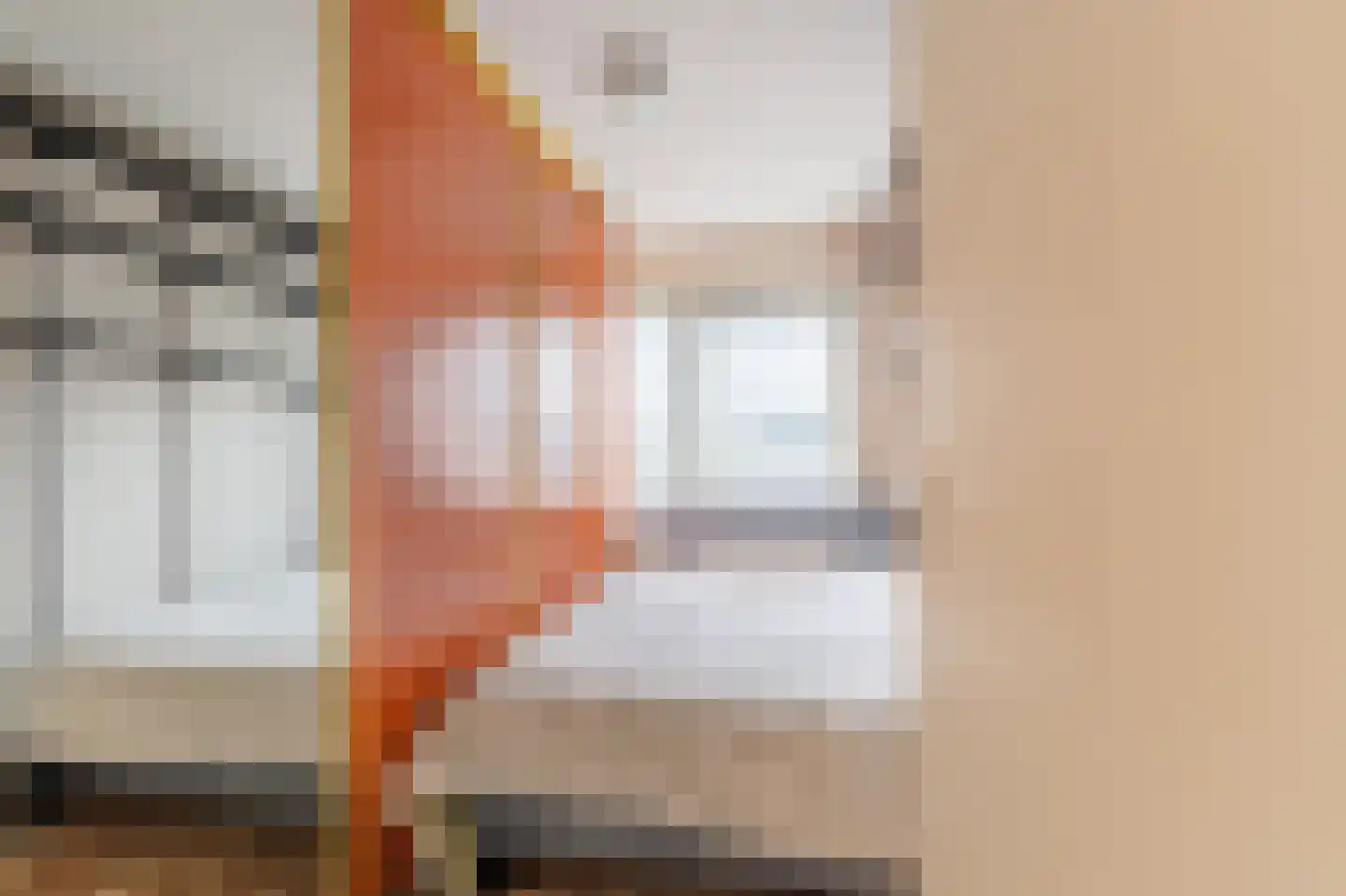 Landsheerlaan 47 Zwolle thumbnail 19