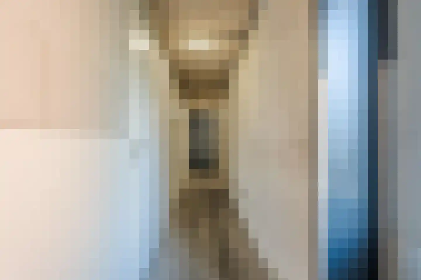 Landsheerlaan 47 Zwolle thumbnail 30