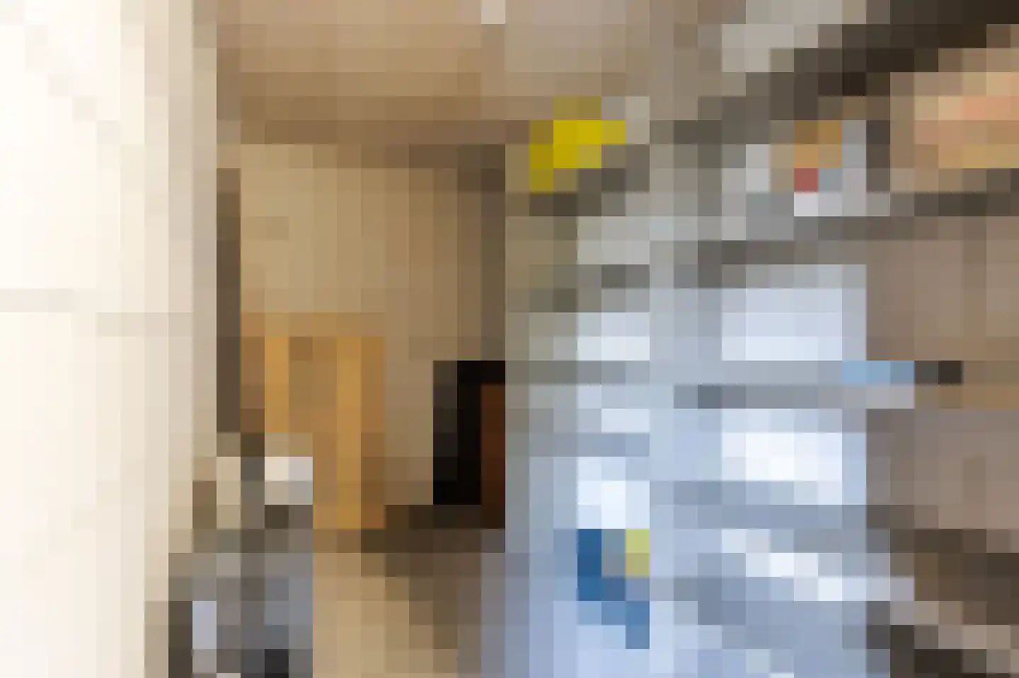 Landsheerlaan 47 Zwolle thumbnail 31