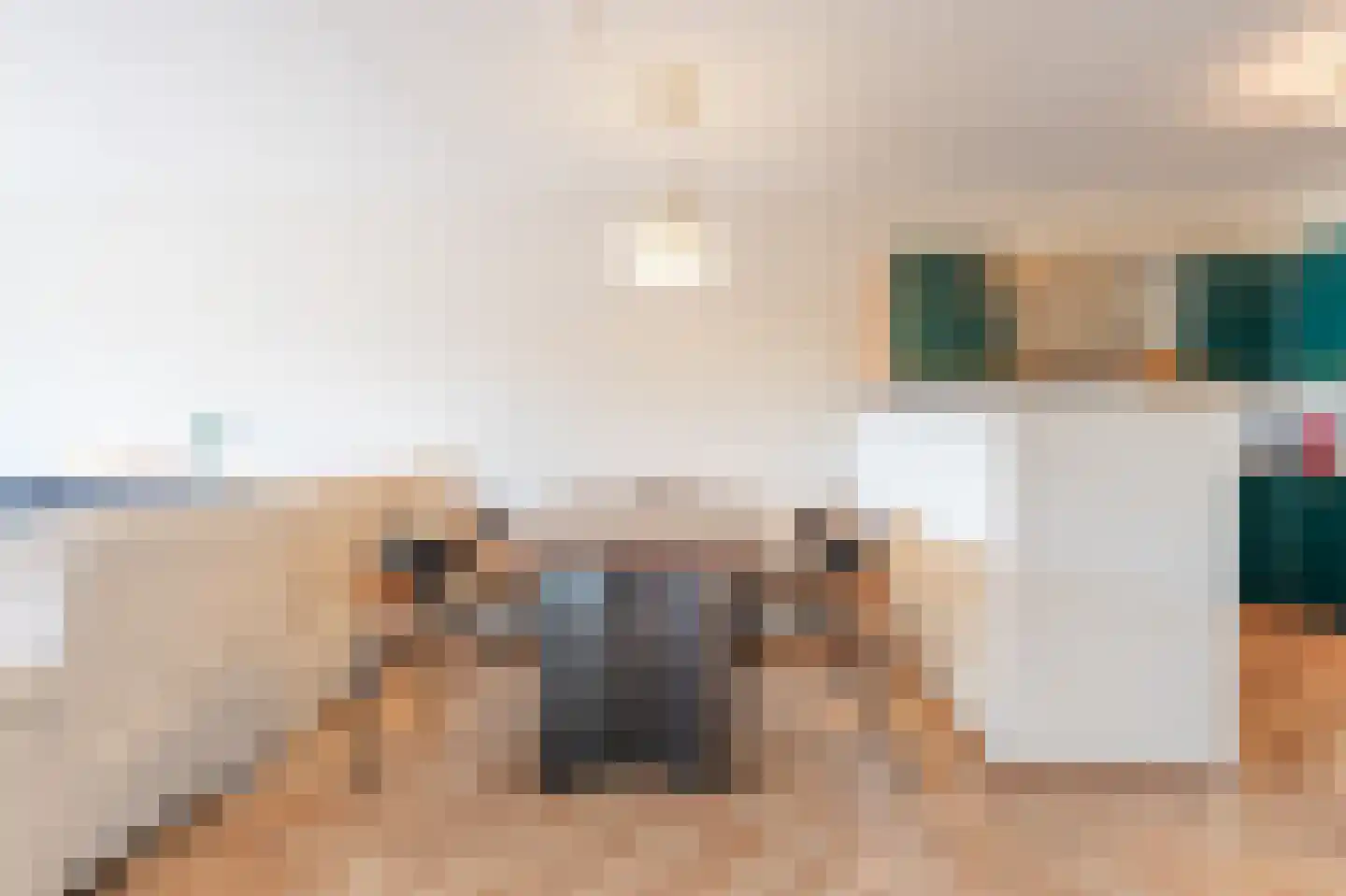 Landsheerlaan 47 Zwolle thumbnail 6