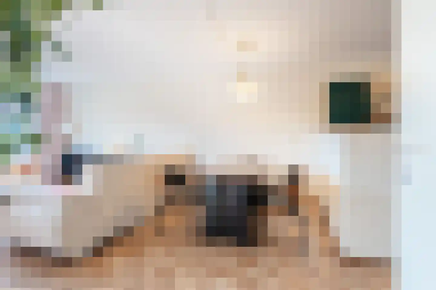 Landsheerlaan 47 Zwolle thumbnail 7