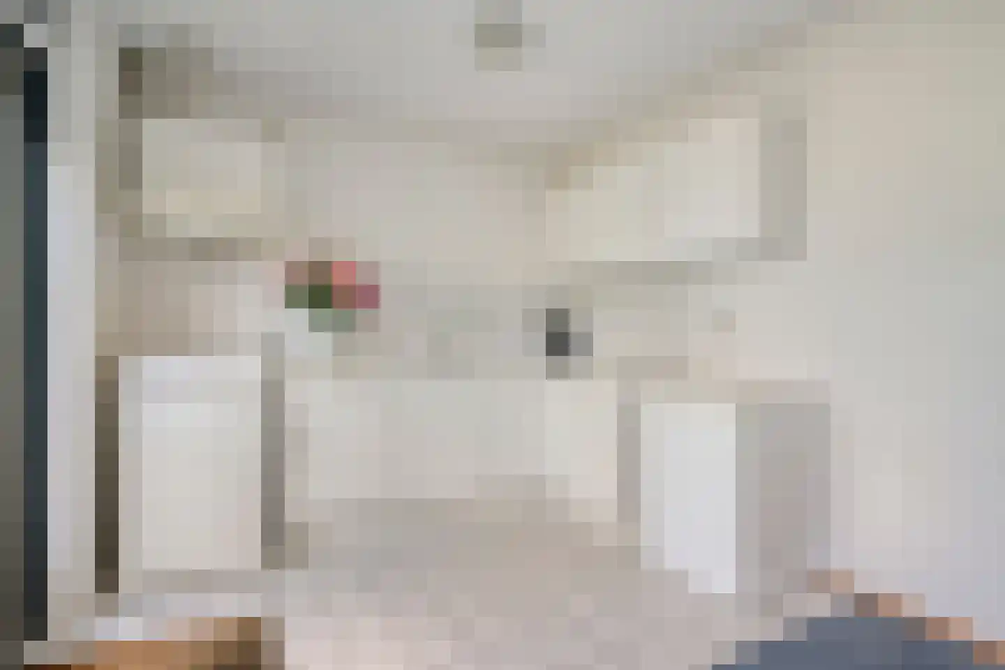 Landsheerlaan 6 Zwolle thumbnail 13
