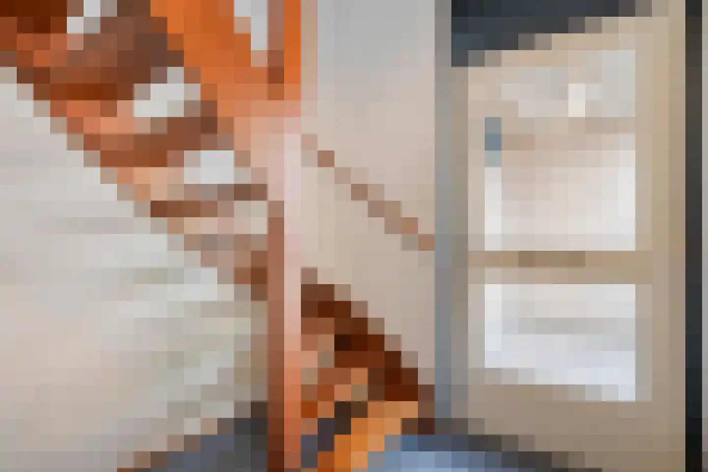 Landsheerlaan 6 Zwolle thumbnail 15