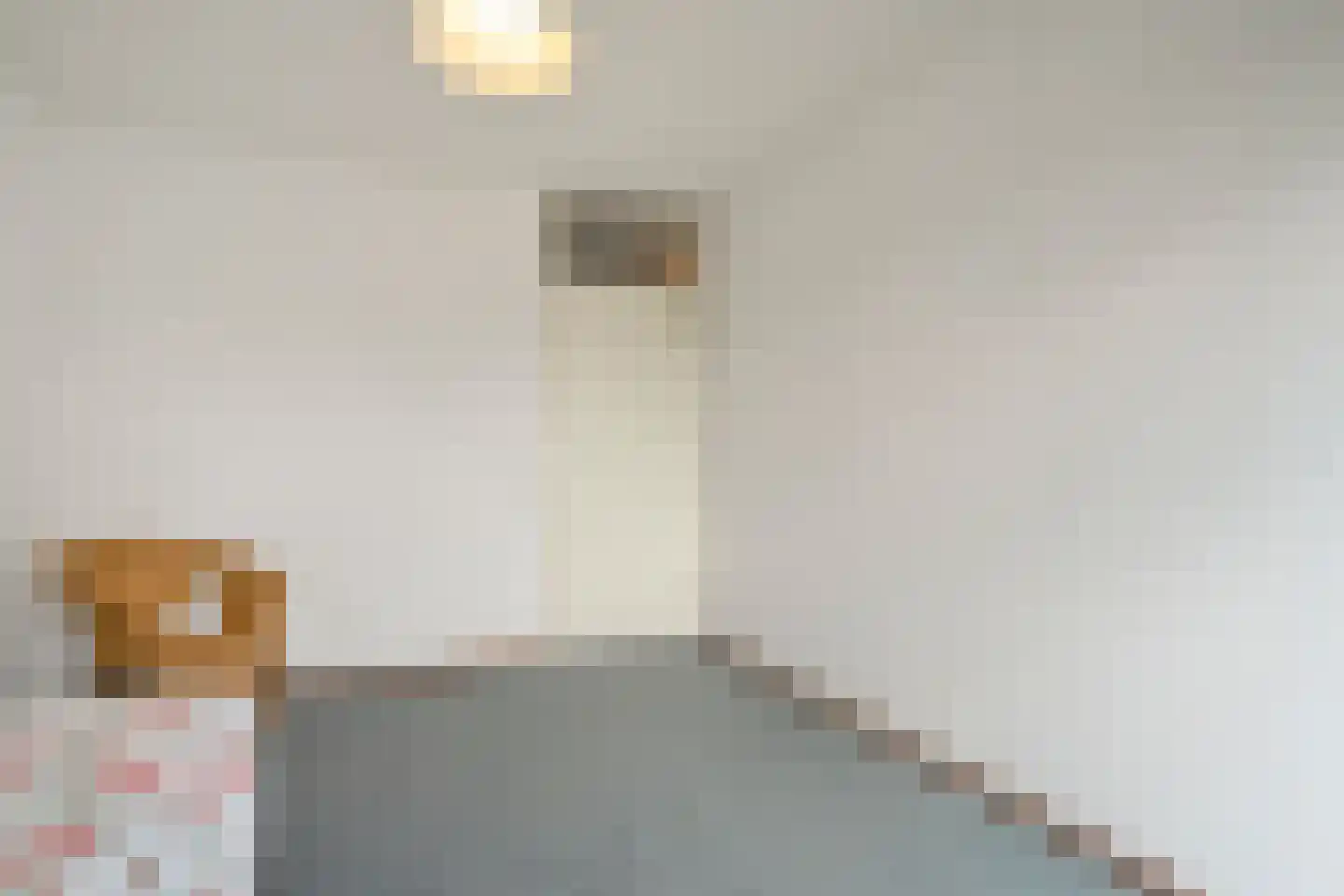 Landsheerlaan 6 Zwolle thumbnail 23
