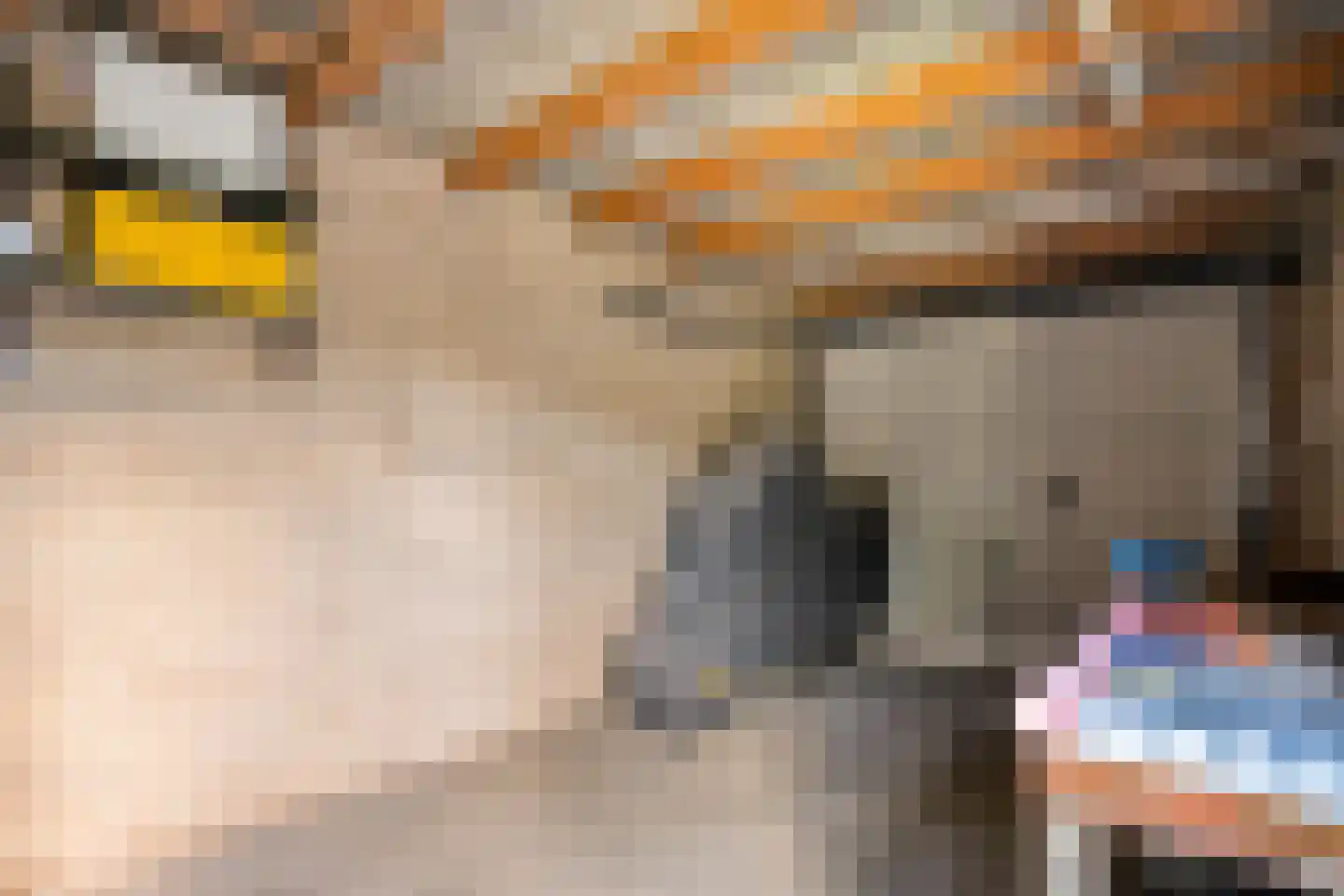Landsheerlaan 6 Zwolle thumbnail 31