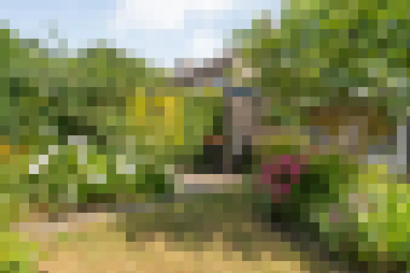 Landsheerlaan 6 Zwolle thumbnail 35