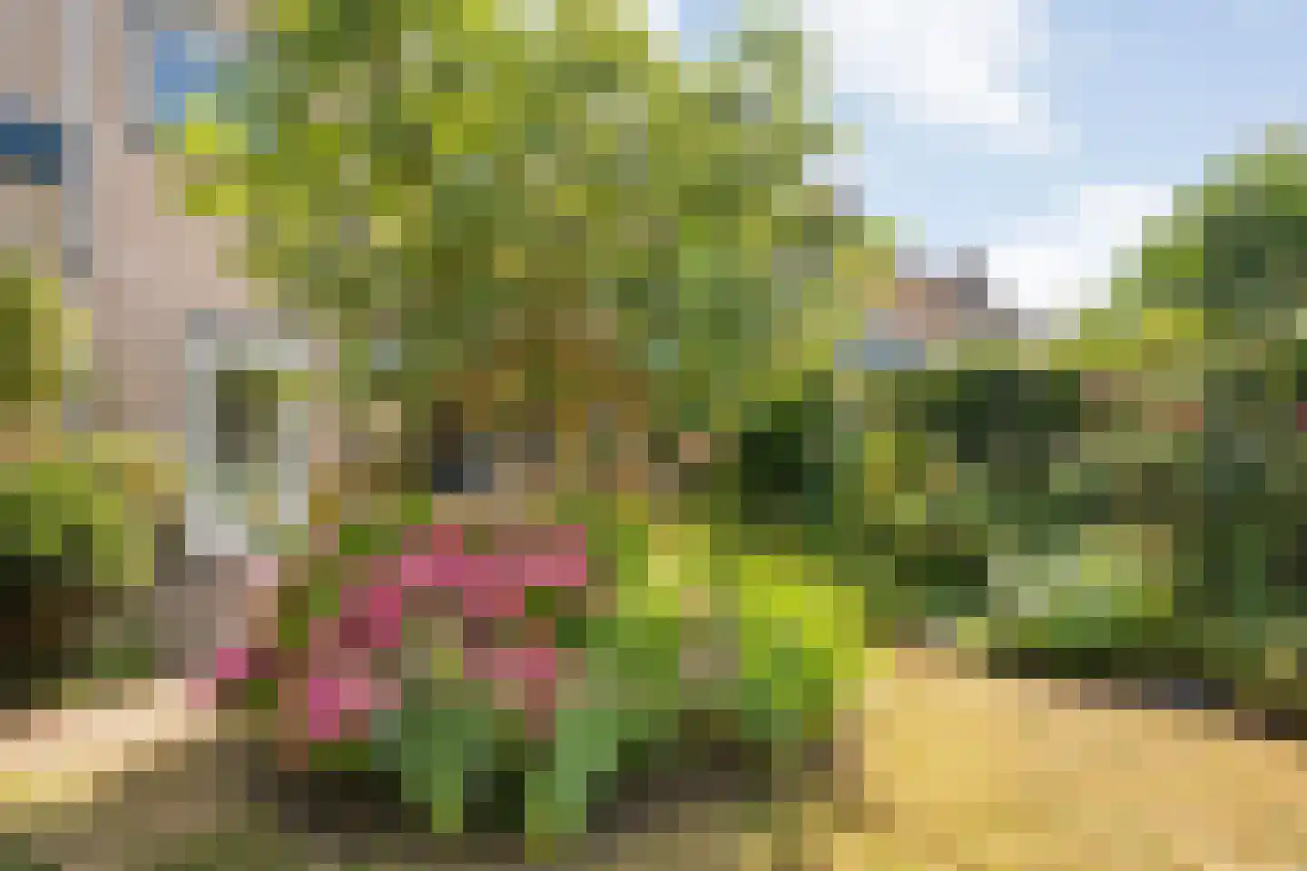 Landsheerlaan 6 Zwolle thumbnail 36