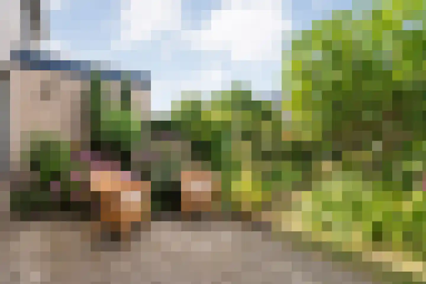 Landsheerlaan 6 Zwolle thumbnail 41