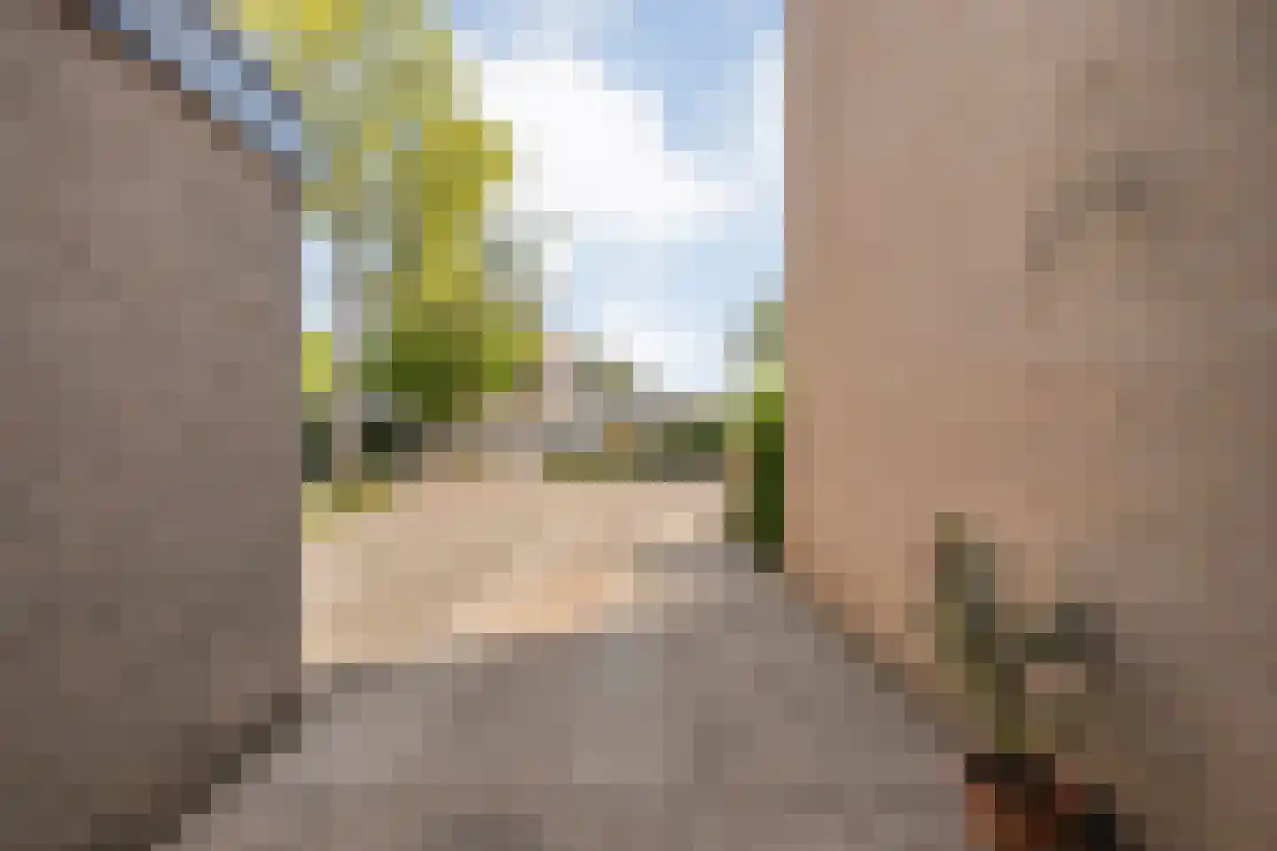 Landsheerlaan 6 Zwolle thumbnail 47