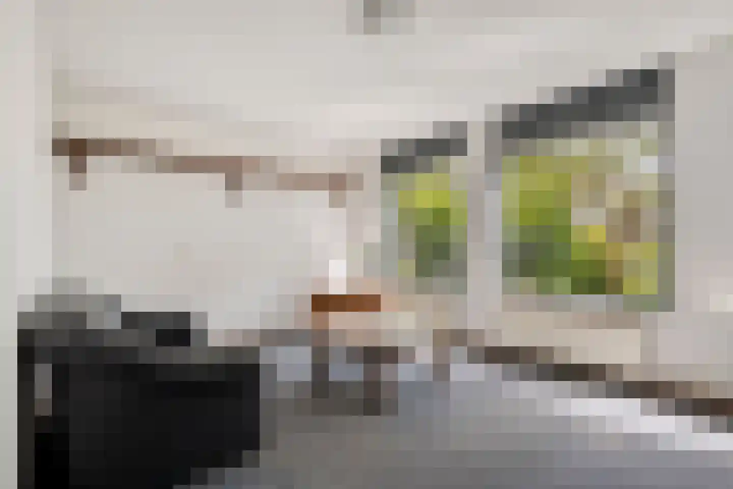 Landsheerlaan 6 Zwolle thumbnail 5