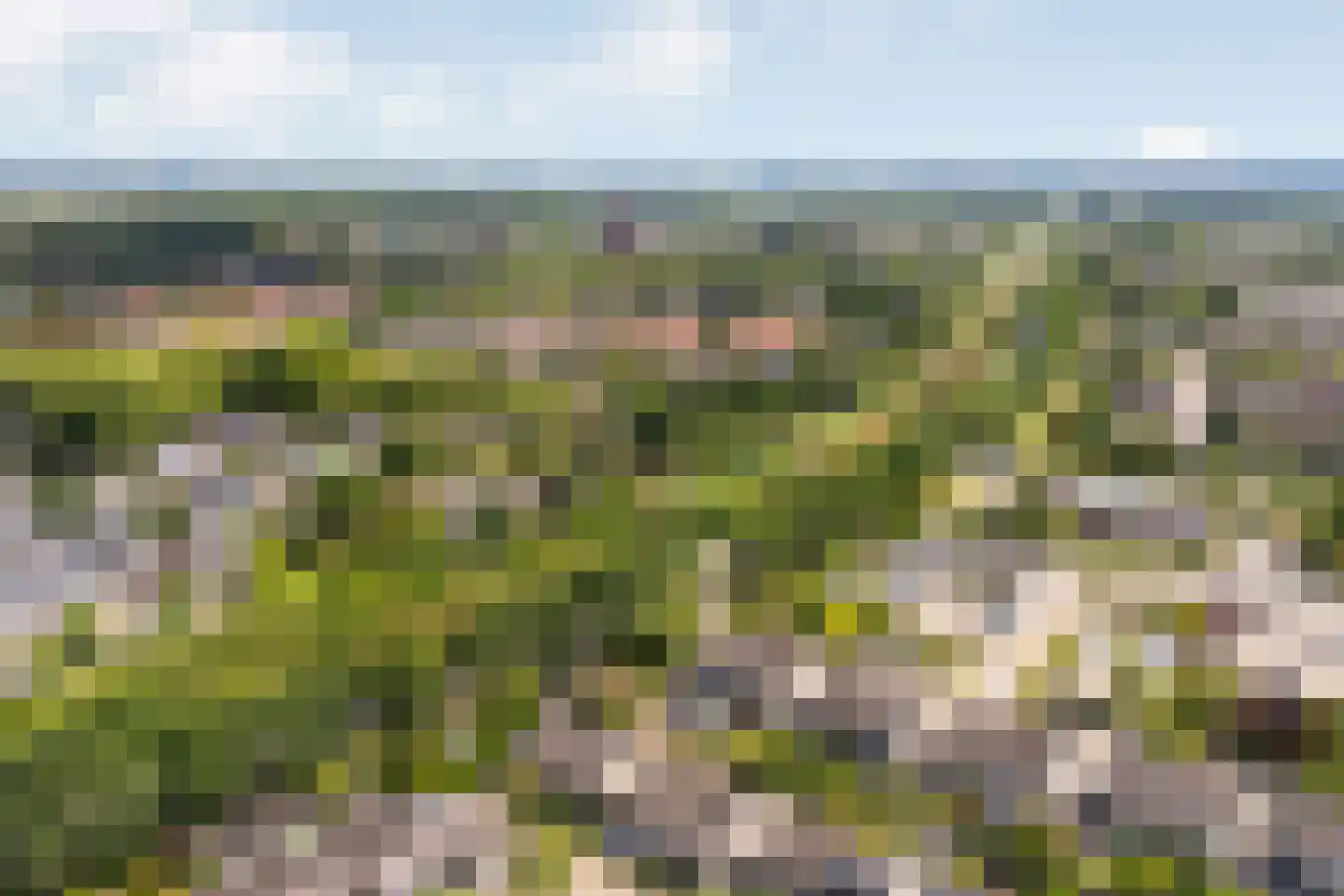 Landsheerlaan 6 Zwolle thumbnail 50