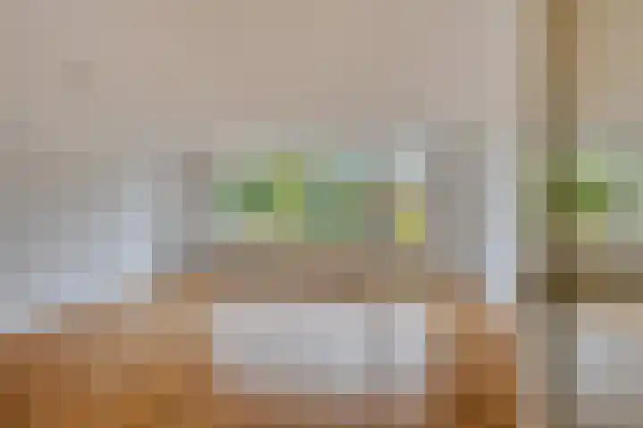 Landsheerlaan 69 Zwolle thumbnail 10