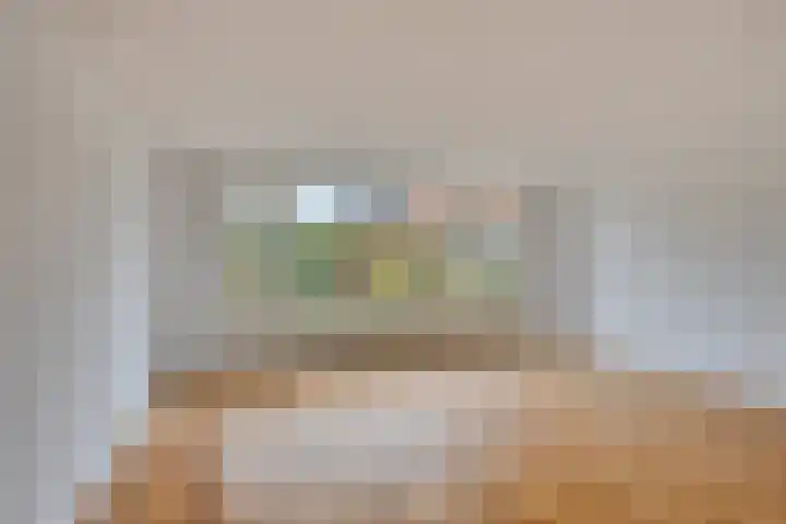 Landsheerlaan 69 Zwolle thumbnail 11