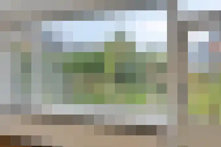 Landsheerlaan 69 Zwolle thumbnail 12