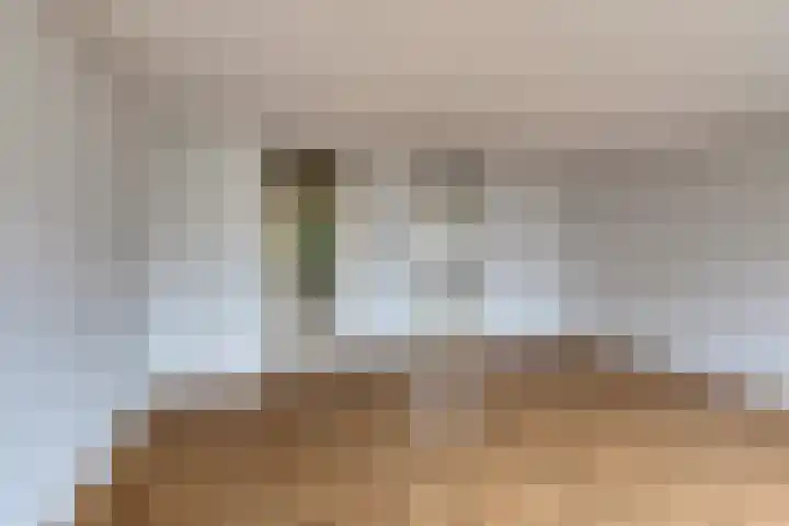 Landsheerlaan 69 Zwolle thumbnail 13