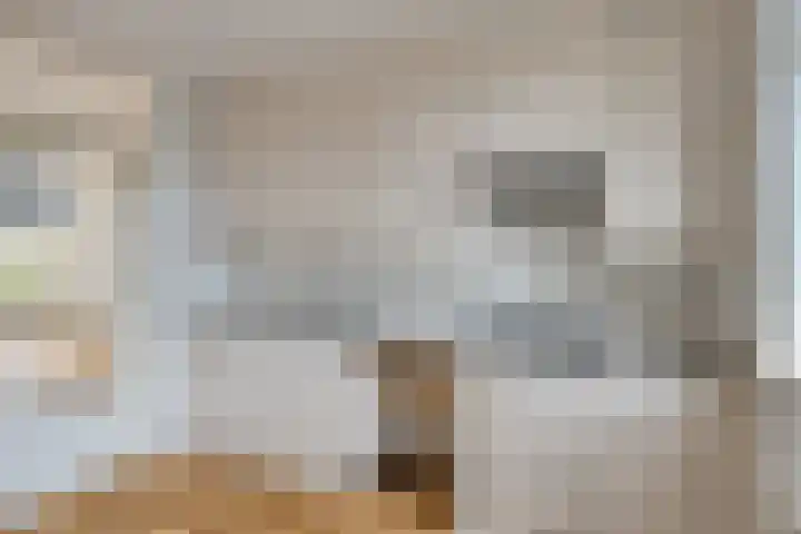 Landsheerlaan 69 Zwolle thumbnail 17