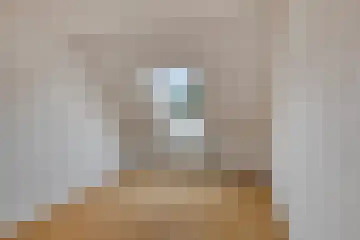 Landsheerlaan 69 Zwolle thumbnail 21