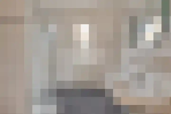 Landsheerlaan 69 Zwolle thumbnail 22