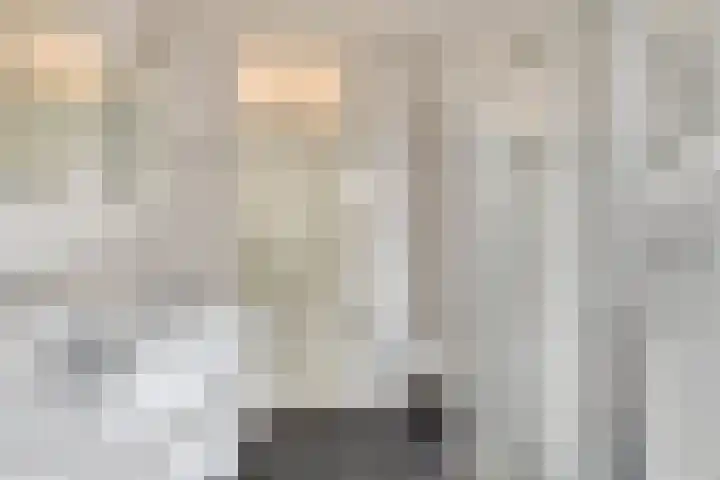 Landsheerlaan 69 Zwolle thumbnail 23